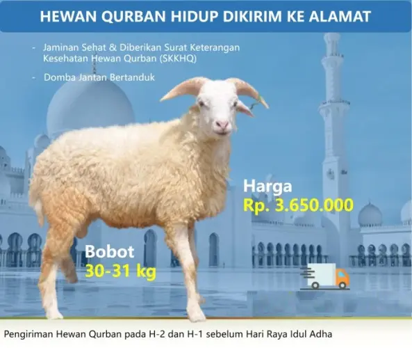 Kurban - Qurban Domba  citangkil